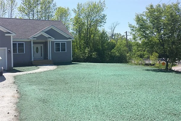 Summit Landworks_Hydroseeding_Residential 2.jpg