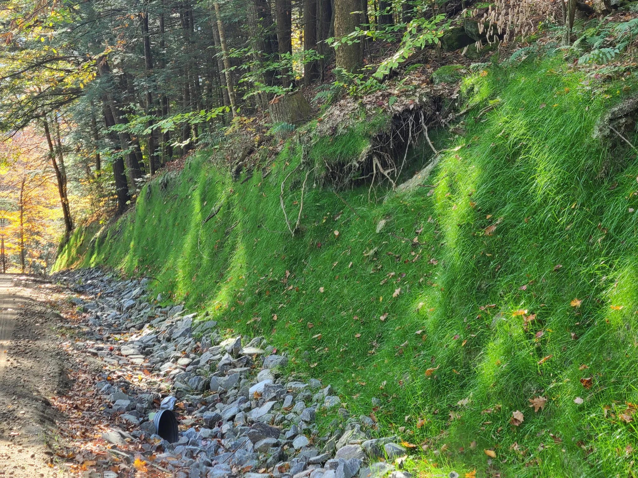 Summit Landworks_Hydroseeding_Municipal_12(1).jpg