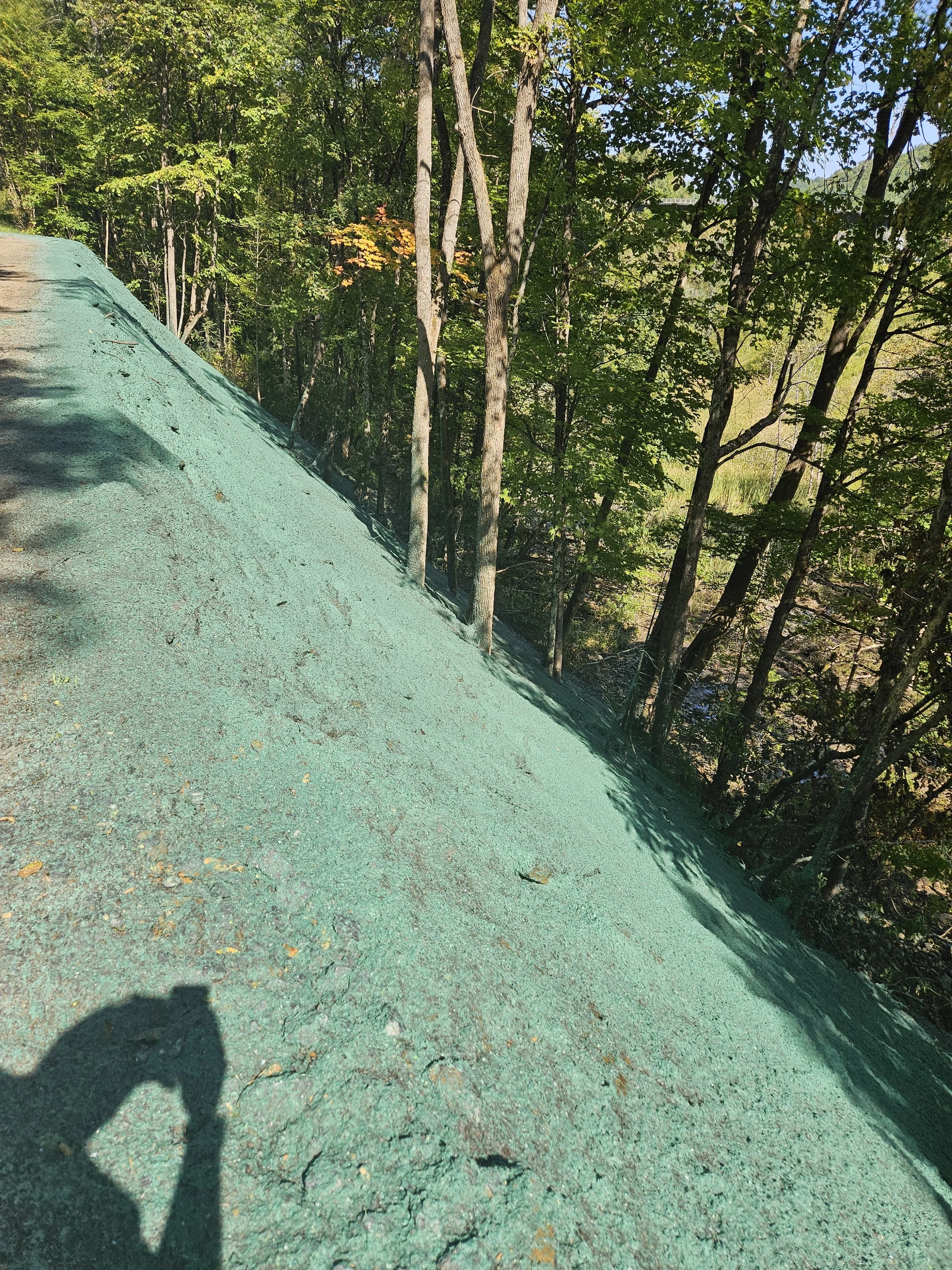 Summit Landworks_Hydroseeding_Municipal_2.jpg