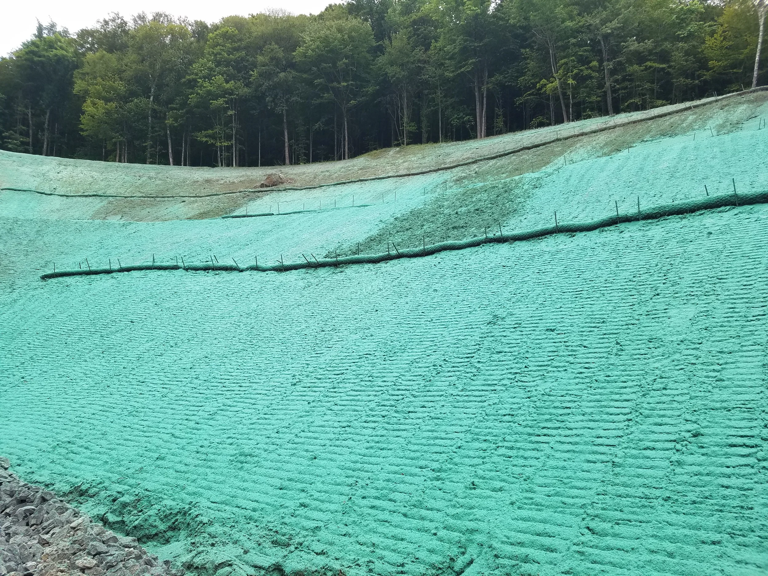 Summit Landworks_Hydroseeding_Commercial_25.jpg