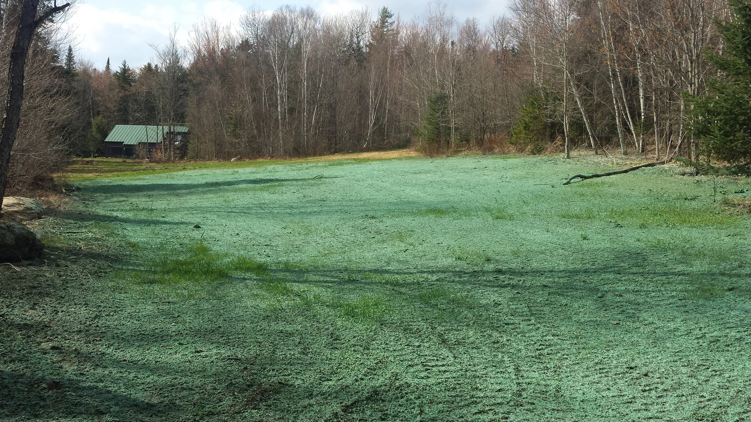 Summit Landworks_Hydroseeding_Residential_26.jpg