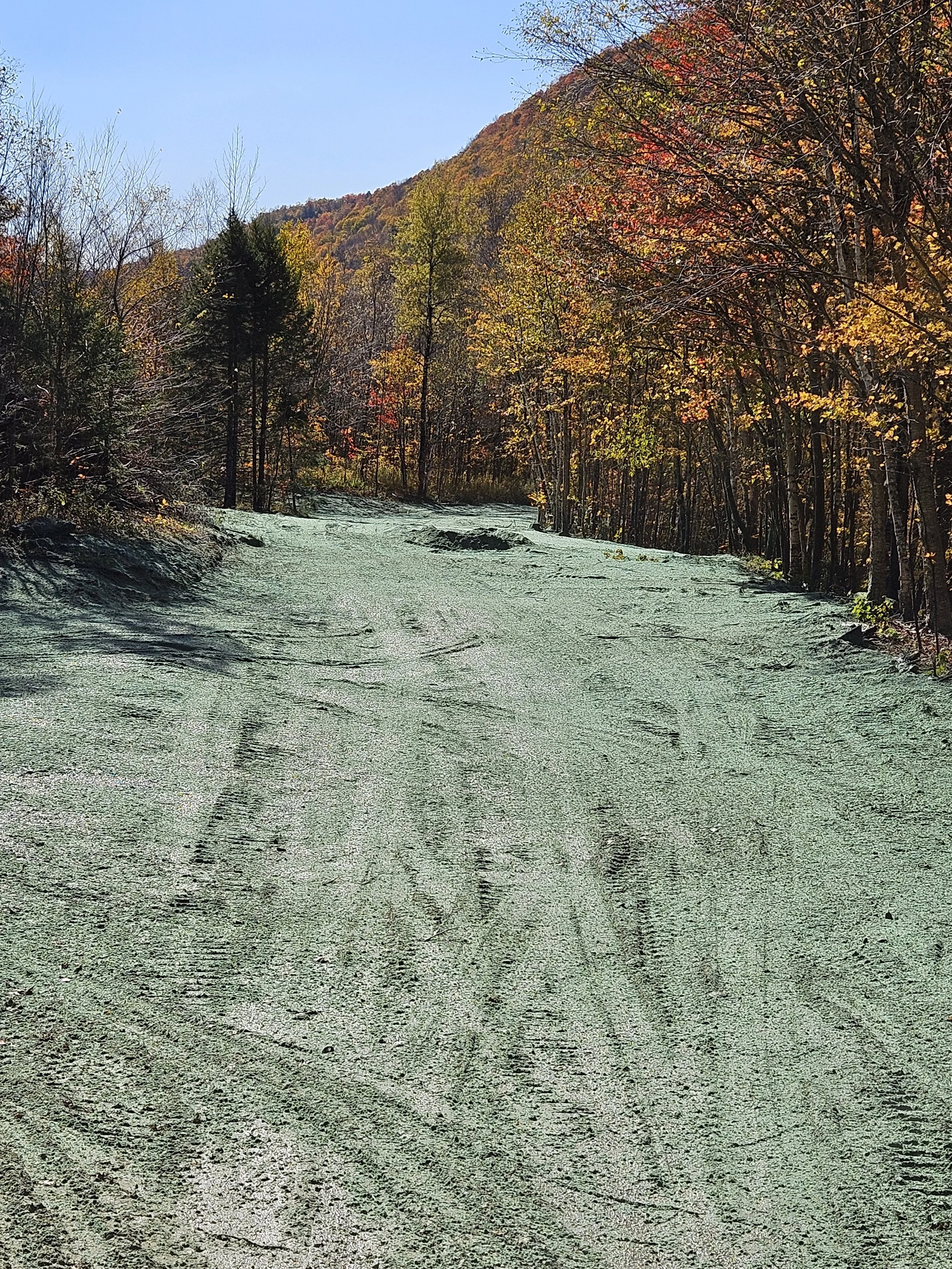Summit Landworks_Commercial Hydroseeding_Killington Vermont.jpg