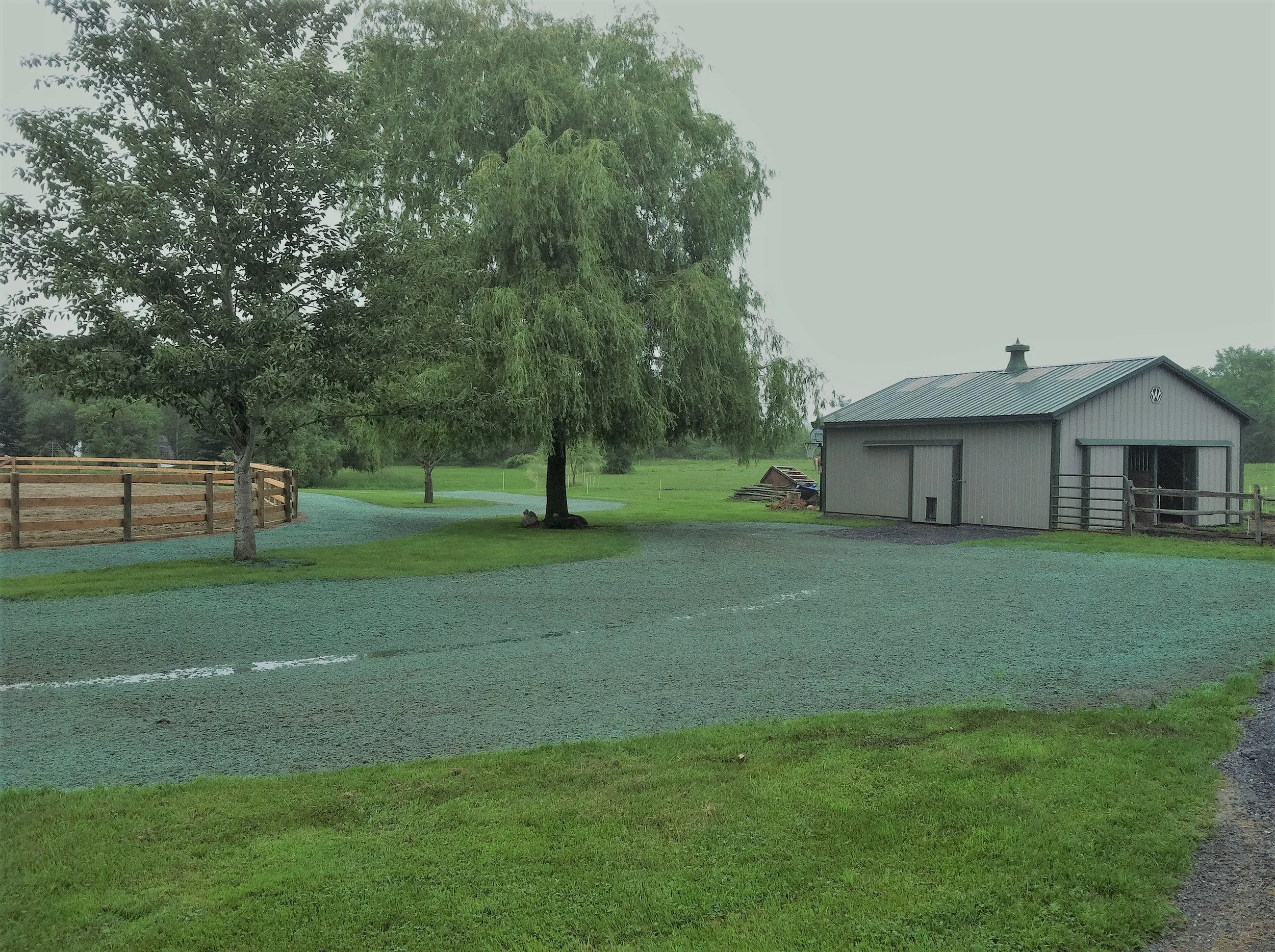 Summit Landworks_Hydroseeding_Residential_21.JPG