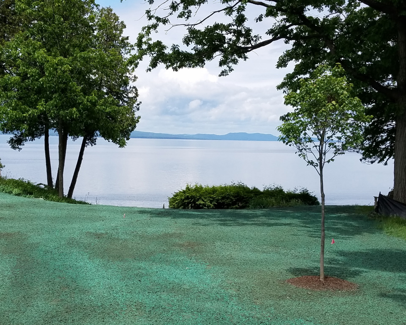 Summit Landworks_Hydroseeding_Gallery 17.png