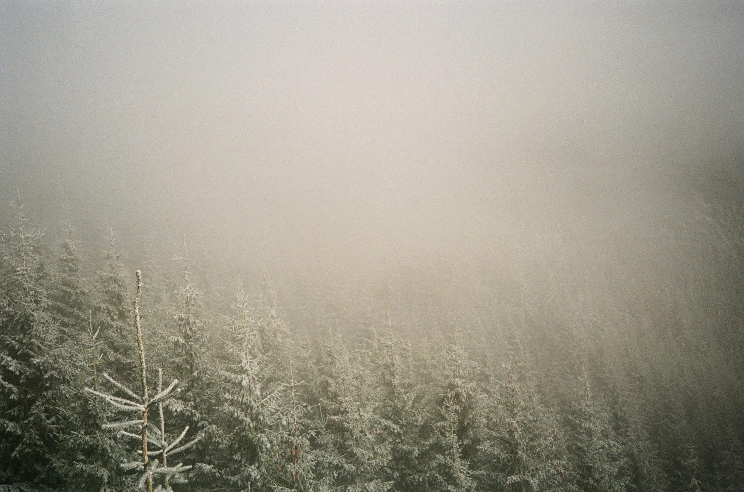 img_15.jpeg