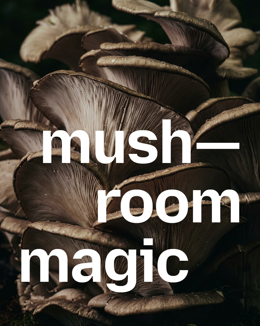 The magic? A carefully selected blend of functional mushrooms working alongside vitamins, adaptogens, and greens to help you feel your best every day.