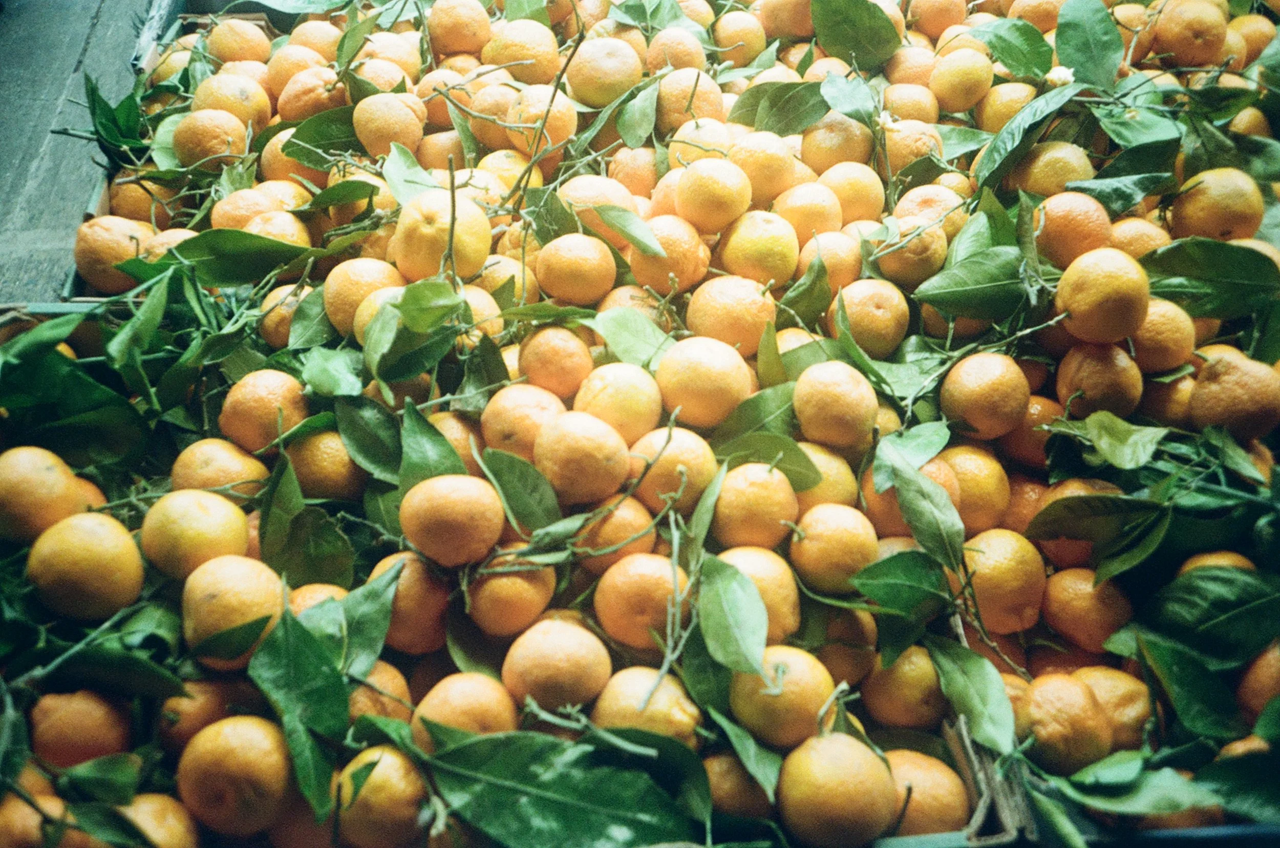 img_23.jpeg