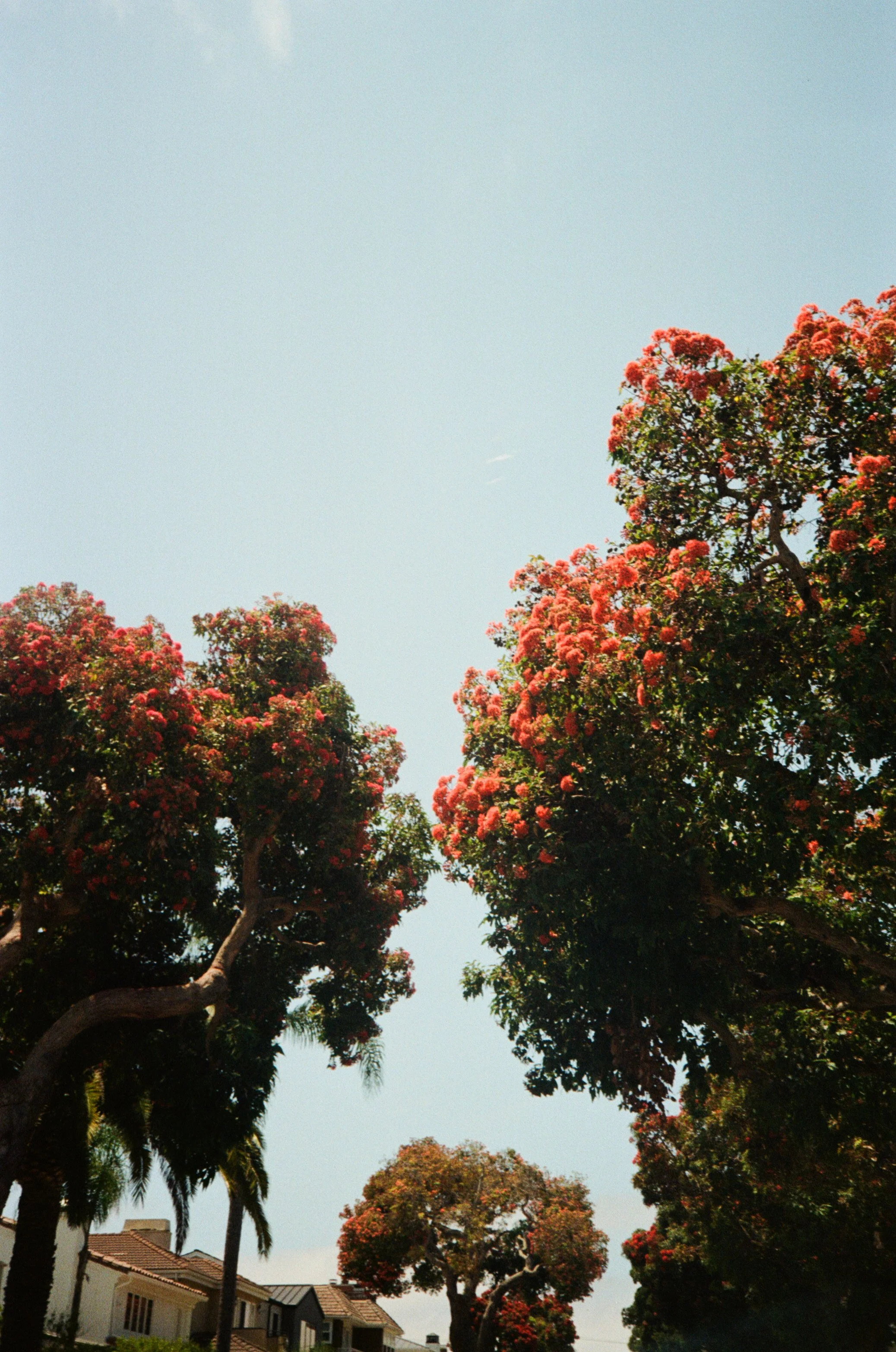 9ad47dc7-d5a1-49cd-9a6e-a5056f09312a.jpg