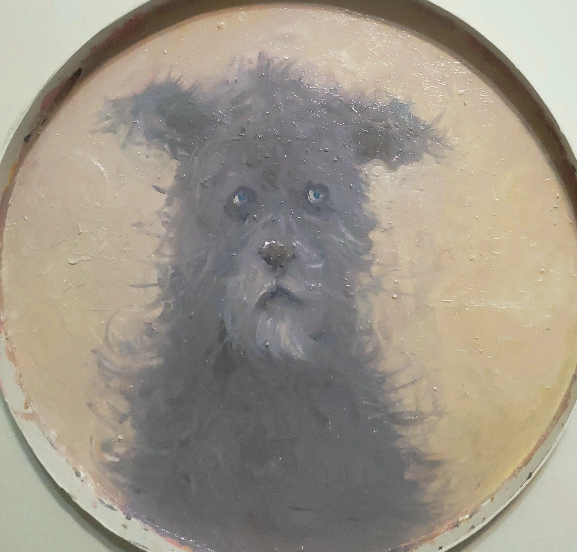 Chewie (oil on board)