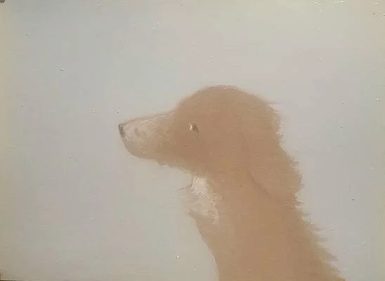 Windswept and Interesting