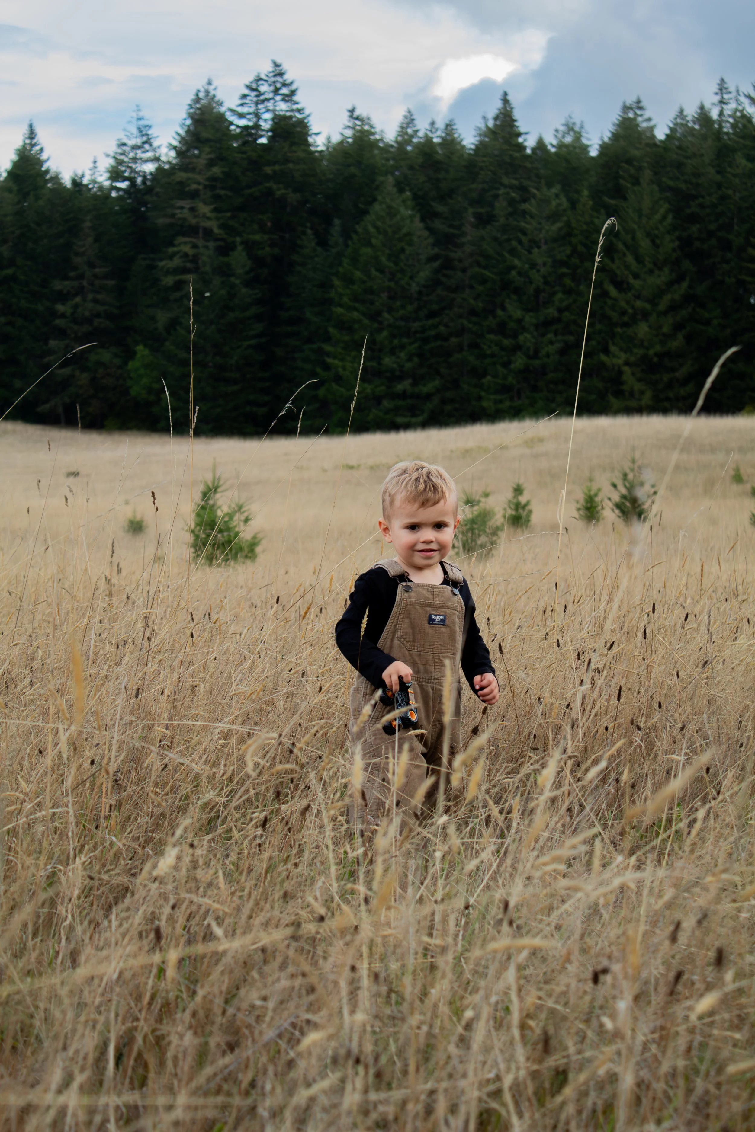 A young boy standing in a field of tall, dry grass with a backdrop of green trees and a cloudy sky, holding a toy car.