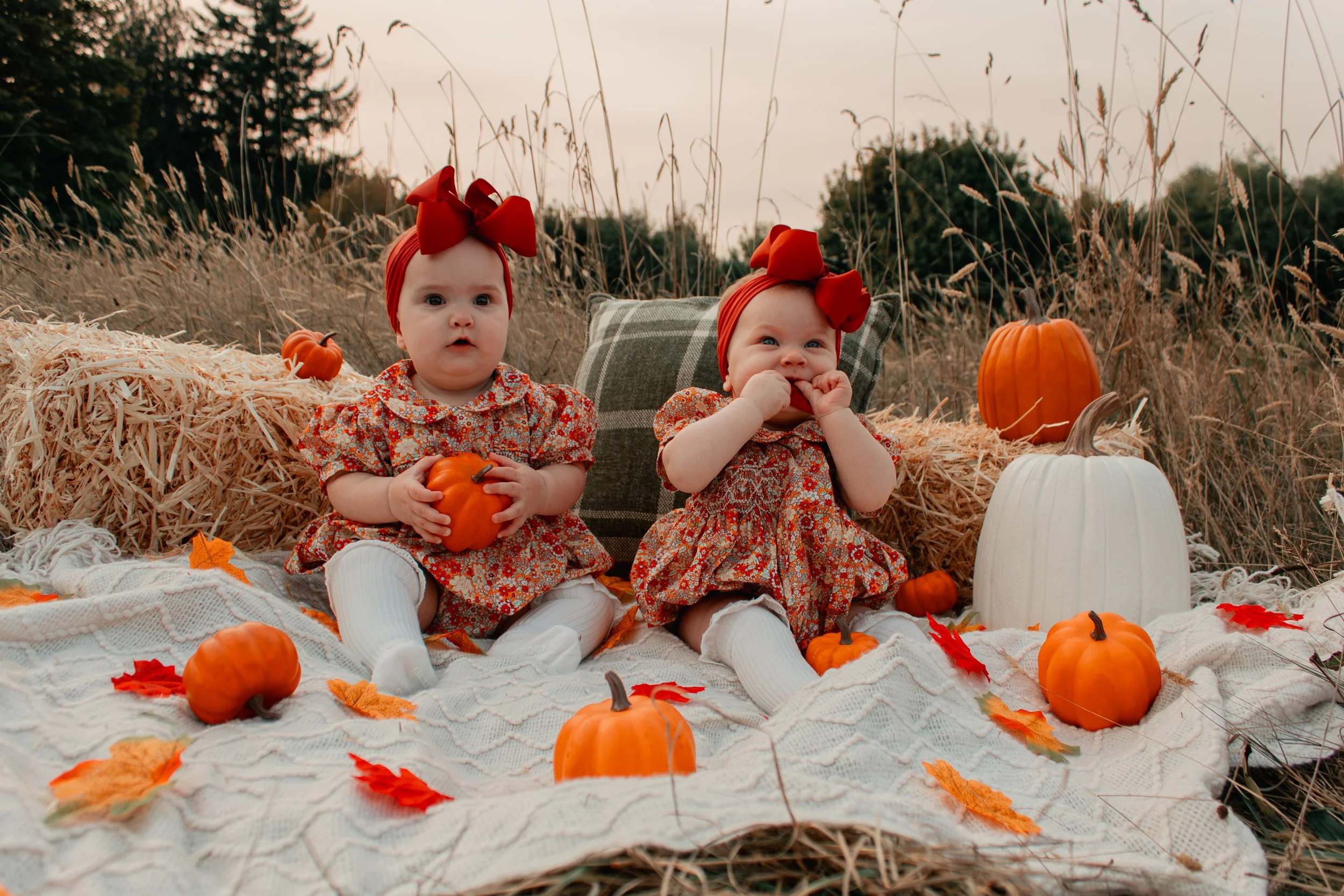 Two young girls with large red bows in their hair, dressed in floral dresses with white knee-high socks, sitting on a blanket in a pumpkin patch surrounded by small and large pumpkins and autumn leaves, with hay bales and tall dry grass in the backgr
