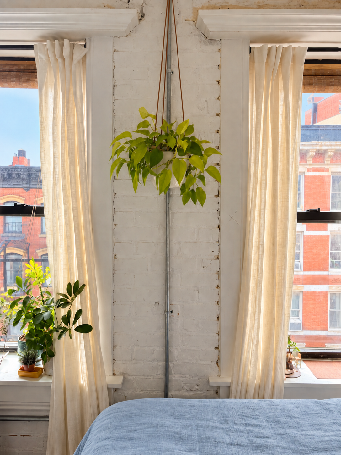 Indoor plants in a bright SoHo bedroom