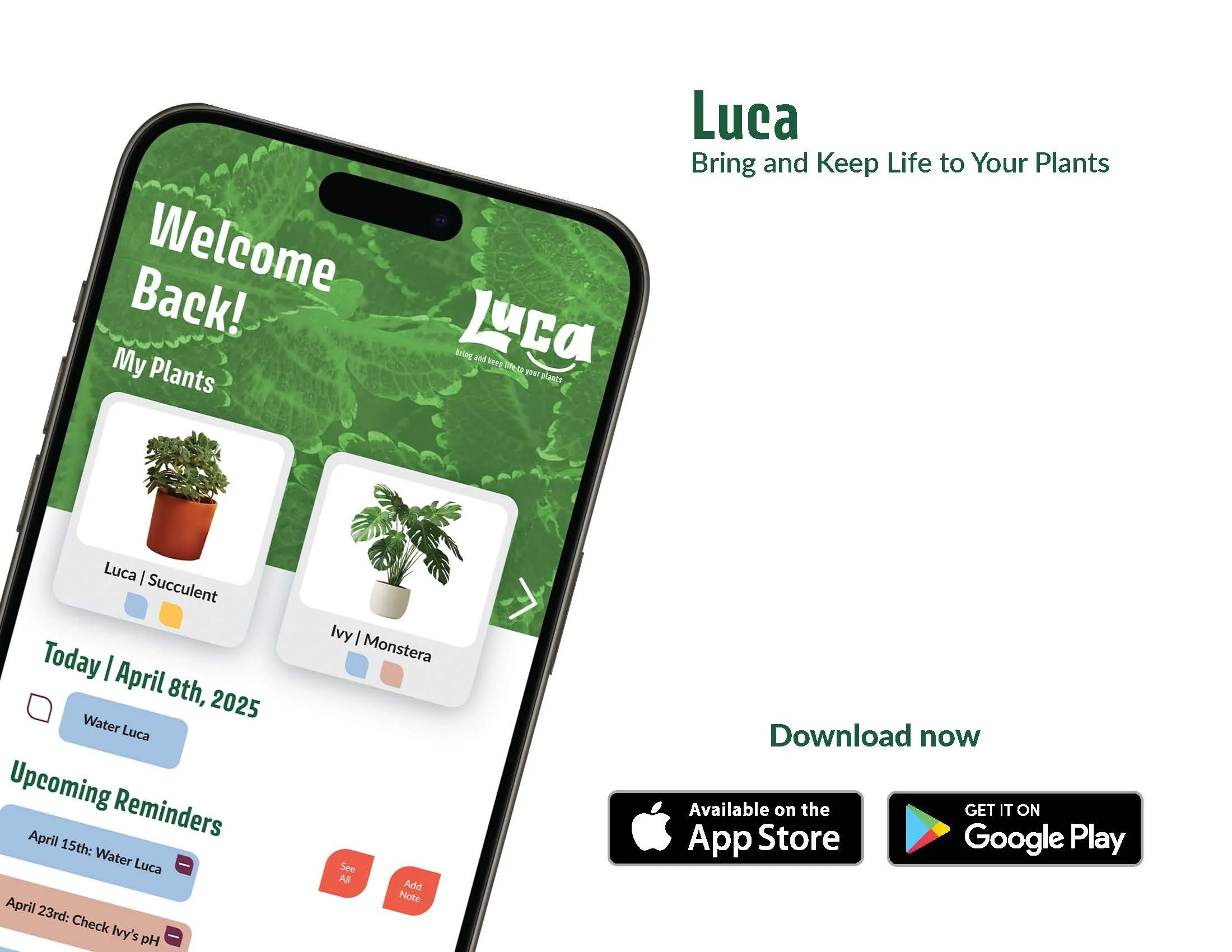 Luca
