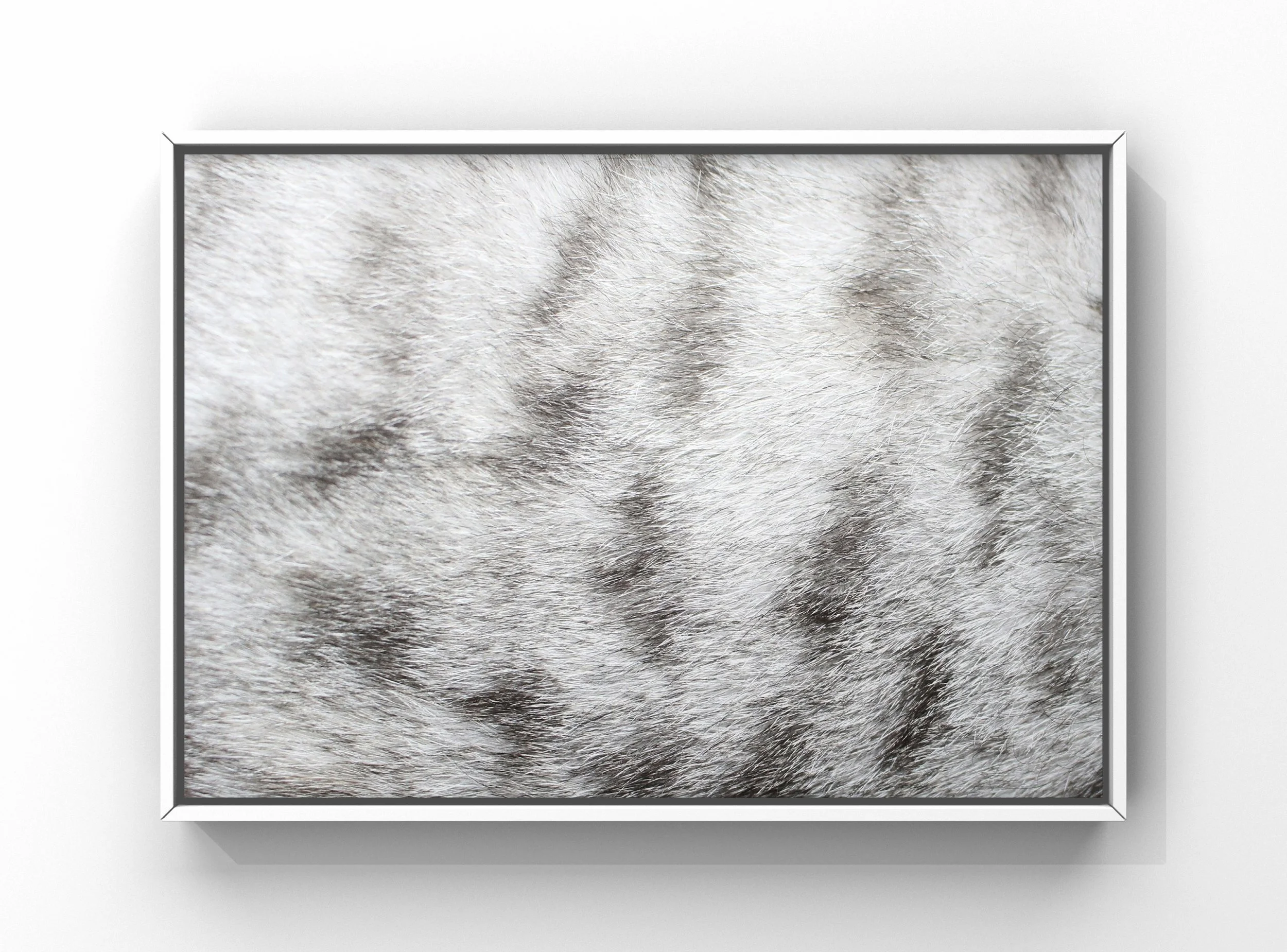 Aircraft zebra carpet design after cleaning showing stain removal from high traffic areas in Raleigh NC