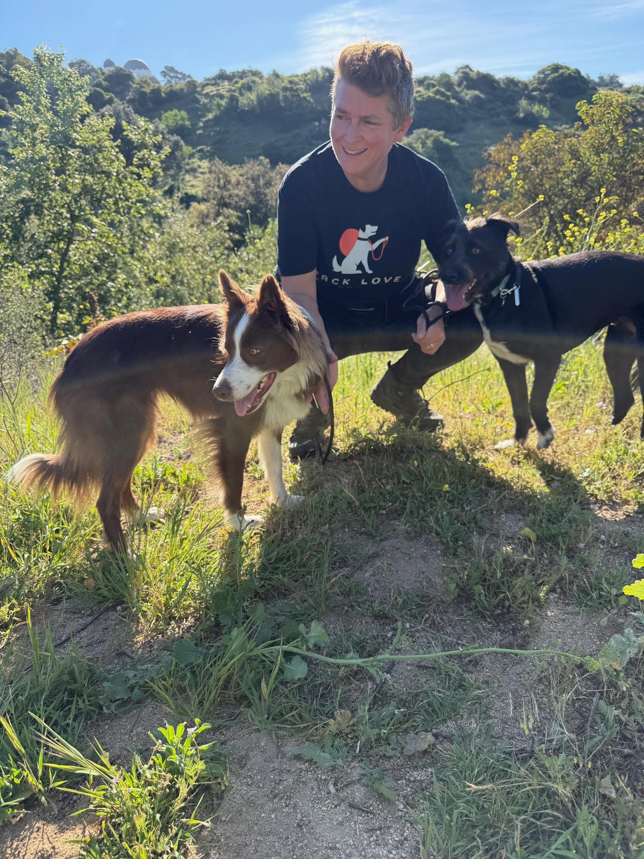 A dog walker smiling outdoors in a grassy area with two dogs, surrounded by greenery and hills in the background under a clear blue sky.