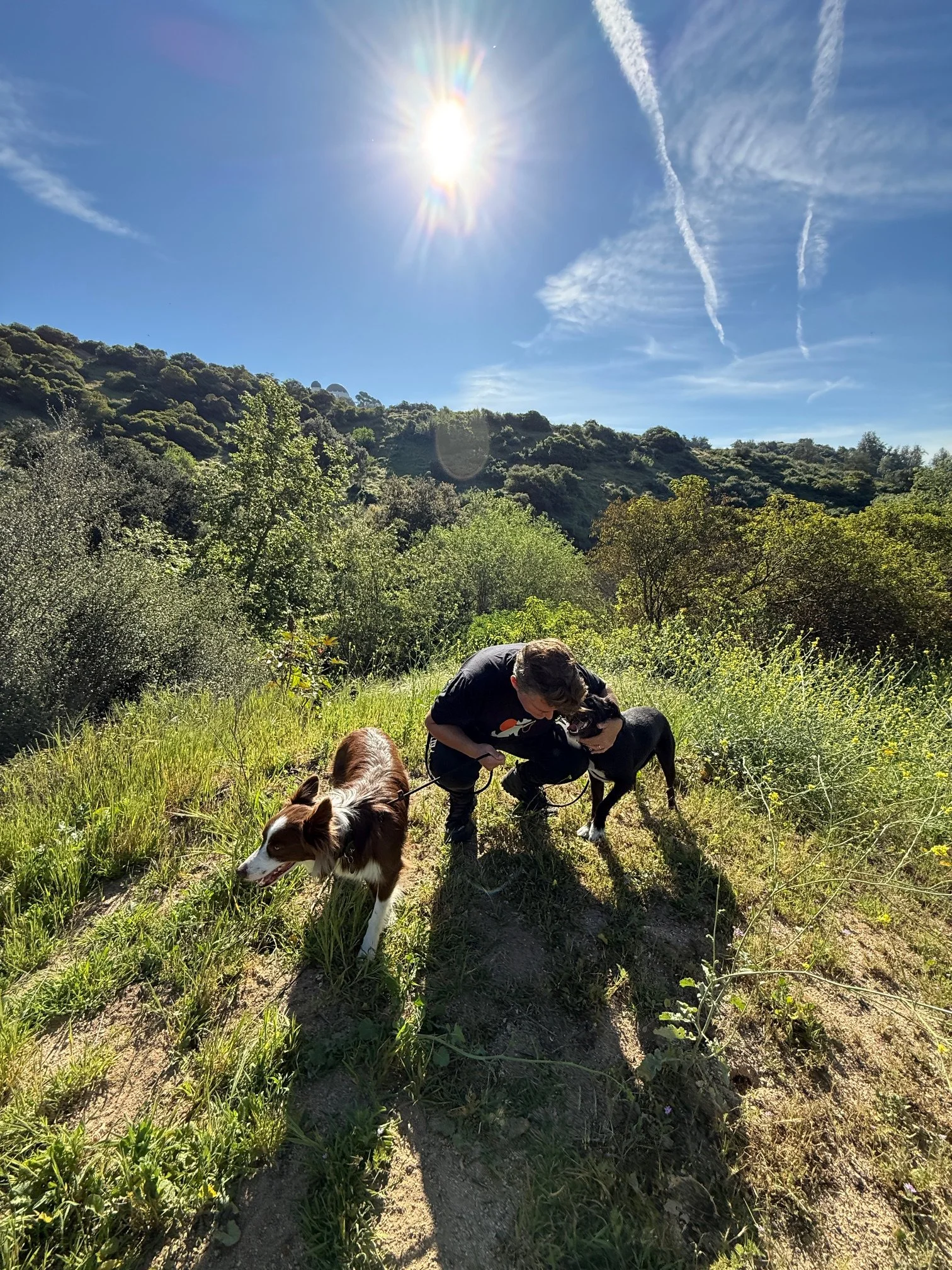 Pack Love Adventures dog walker with border collie and black mixed breed on Griffith Park trail, Los Angeles