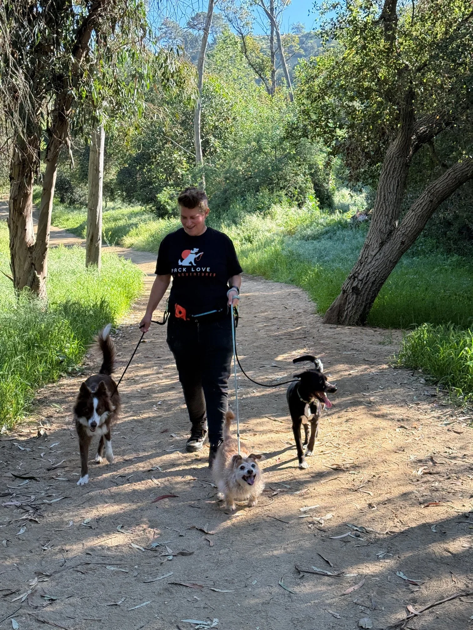 Dog walker leading three dogs on a shaded dirt trail — a brown and white border collie, a small tan terrier mix, and a black mixed breed — wearing a Pack Love Adventures t-shirt