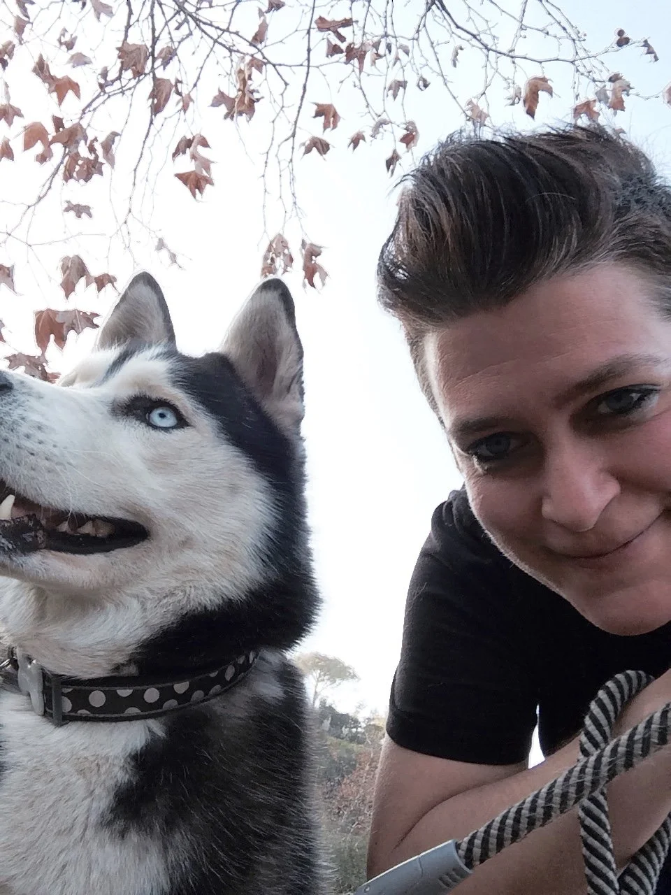 Close-up selfie with a black and white Siberian husky with blue eyes — Los Angeles dog walking and hiking service