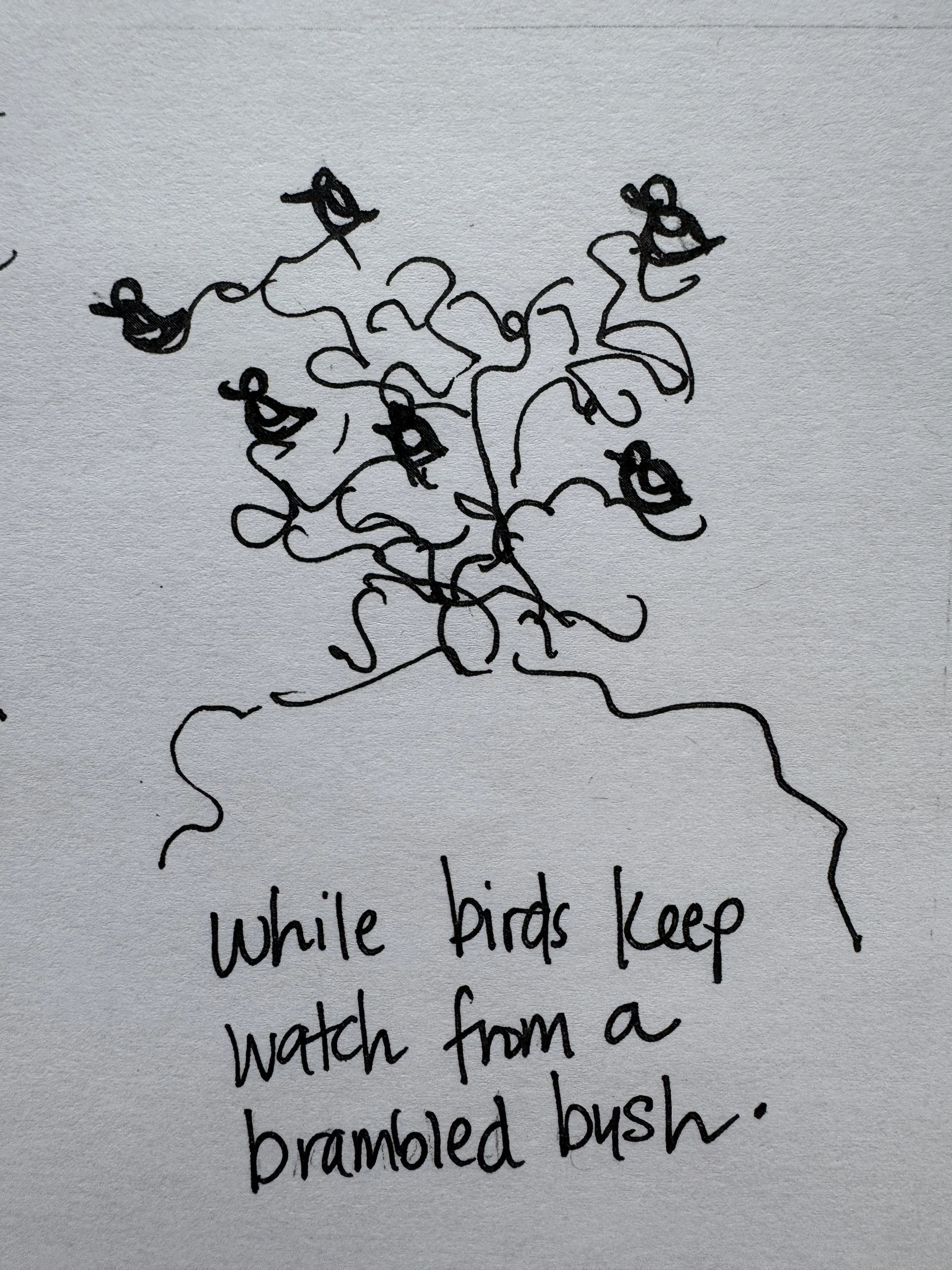 Whats Underneath_6.JPG