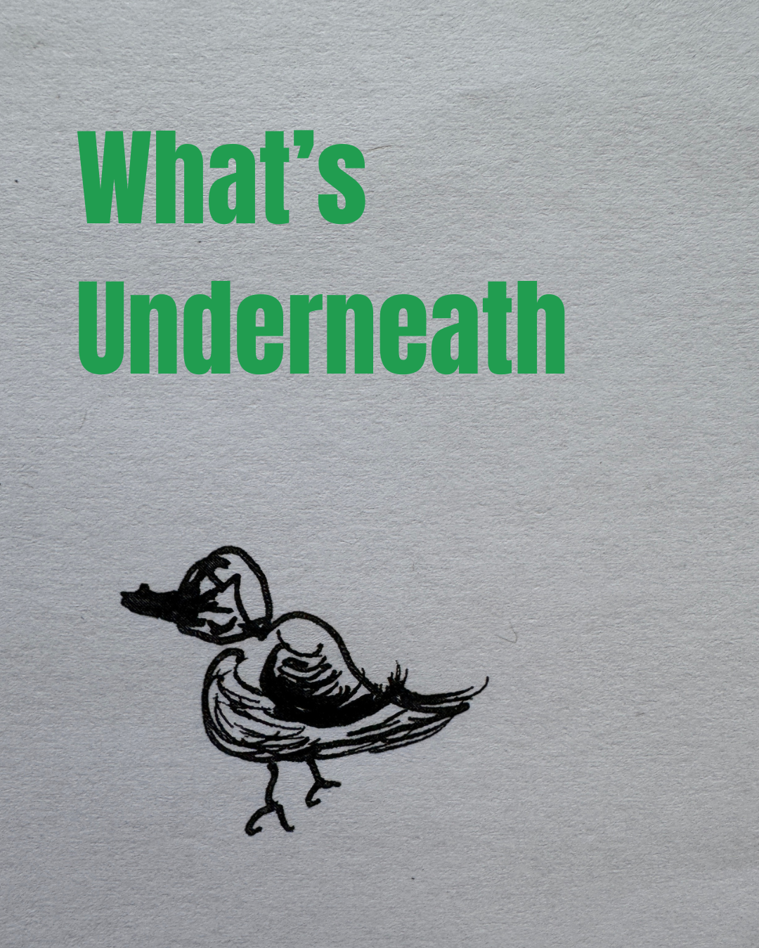 an hand-drawn doodle of a small bird with green text that says "What's Underneath"