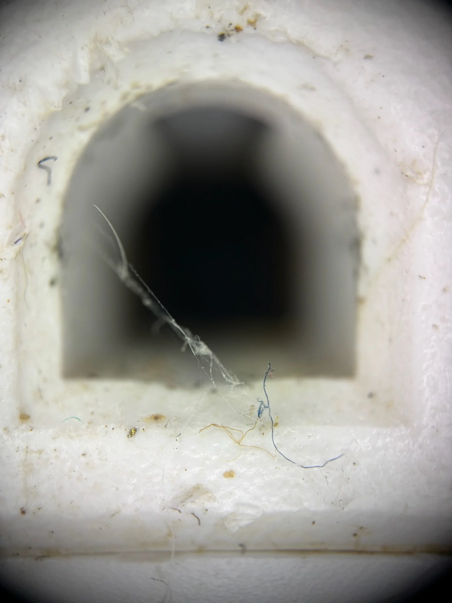 microscopic image of an outlet hole that looks like an opening to a tunnel.