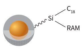 Diagram of a silicon nanoparticle coated with a shell of RAM molecules, connected by a silane linker.