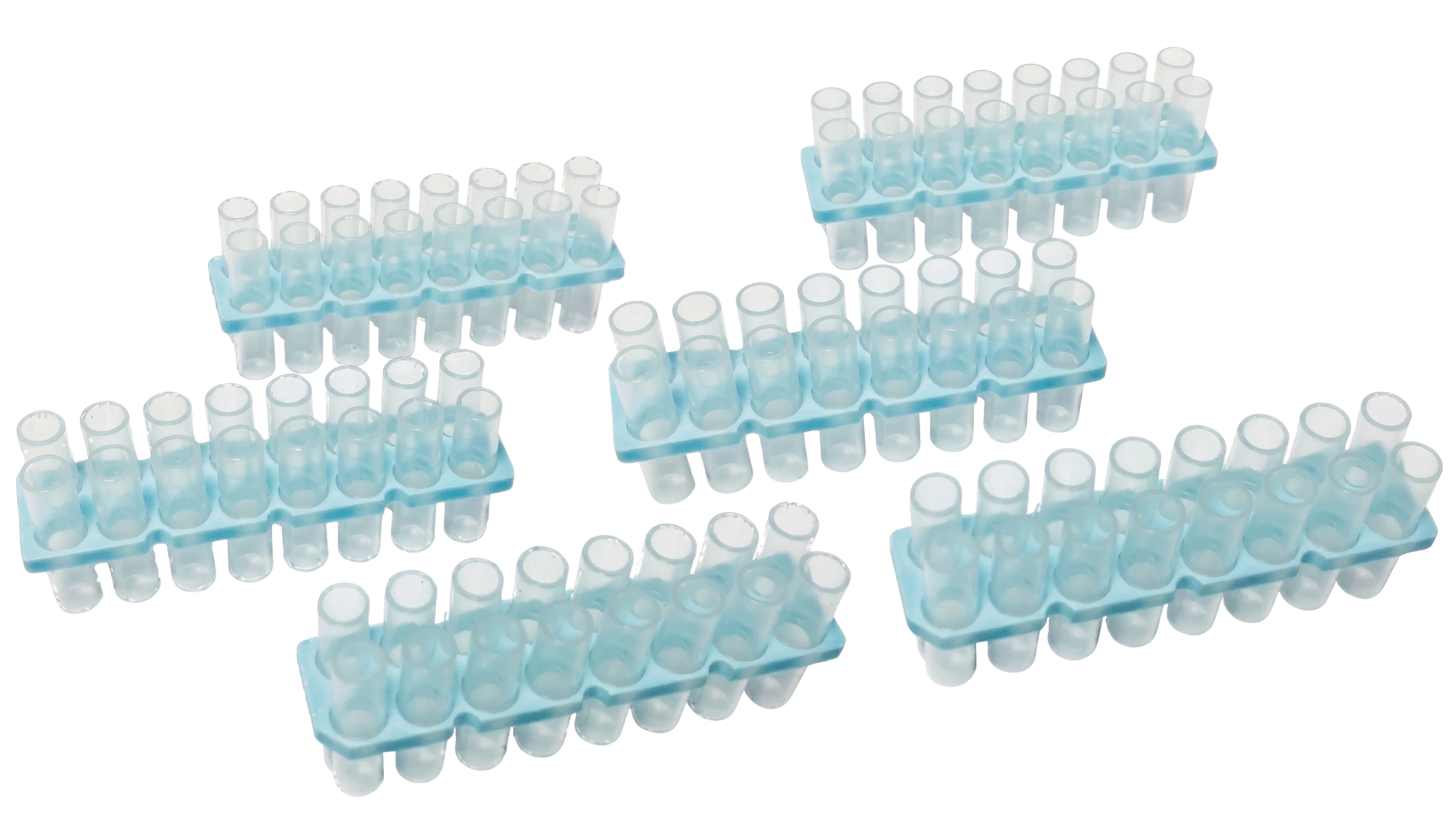 Arranged plastic test tubes on blue racks, used for laboratory testing or experiments.