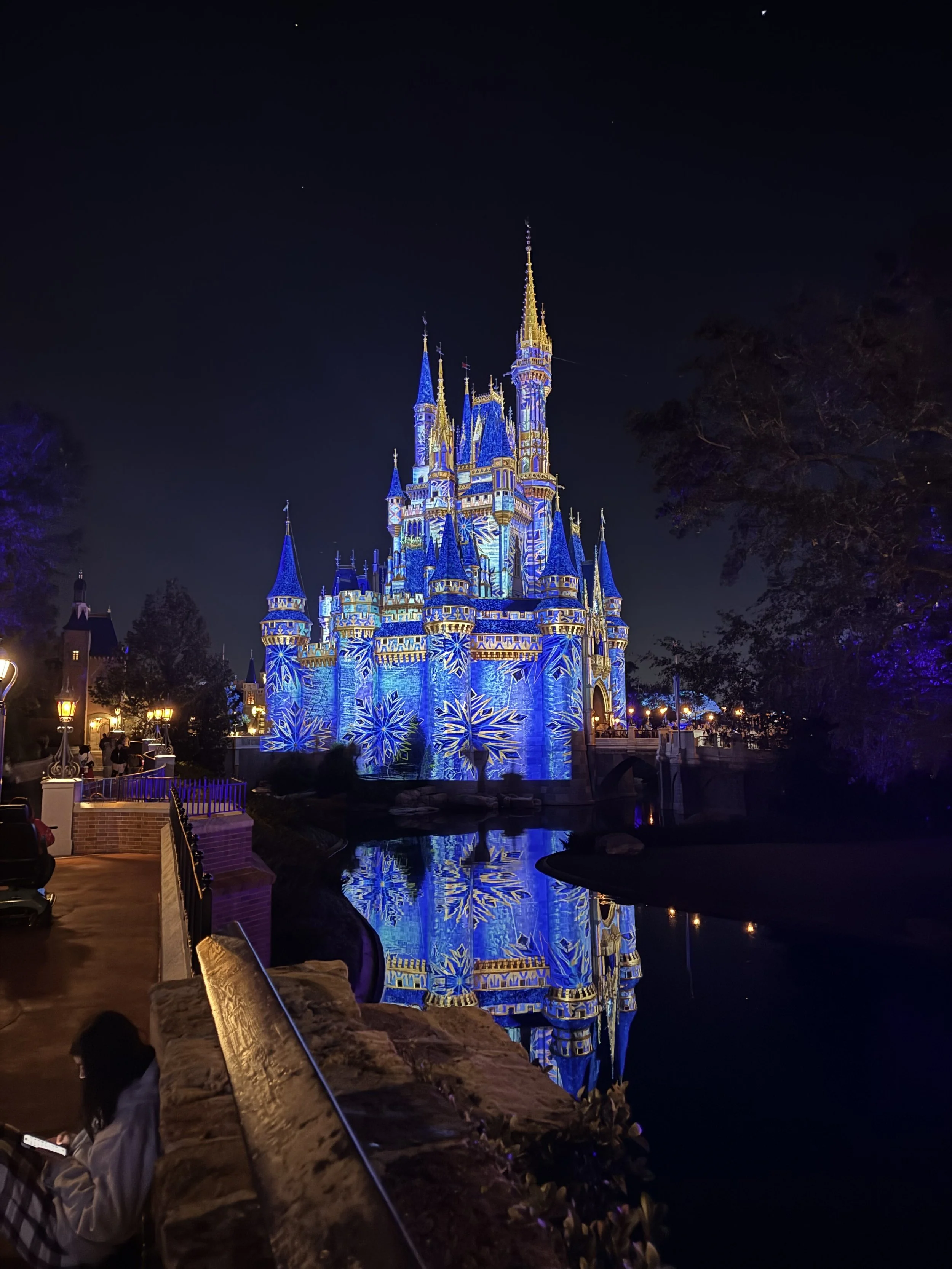 Disney World- An Introduction