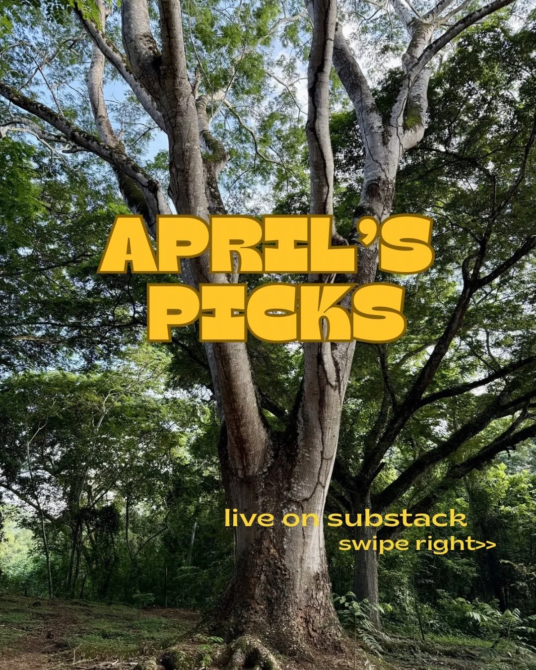 Texas dominated my monthly highlights, with one small exception: a new (to me) wine from Puglia, Italy. Outside of encouraging you to try a few new places, support talented publications and writers, I also rave about my favorite cookbook. All of this