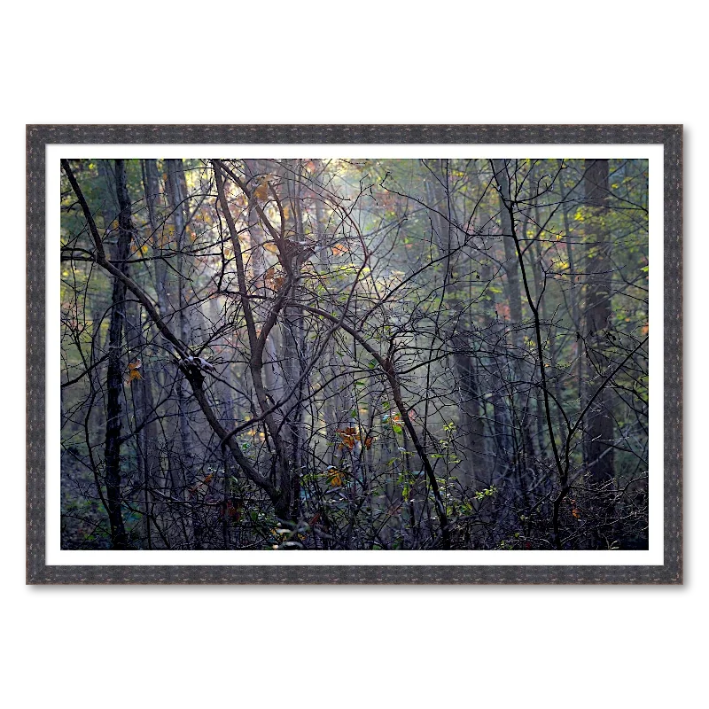 Backlit Branches in Morning Forest Light_Framed.webp