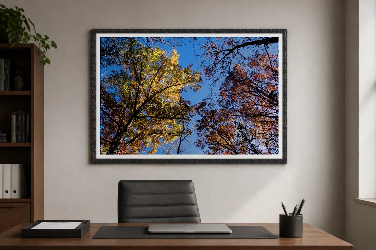Autumn Canopy Convergence
