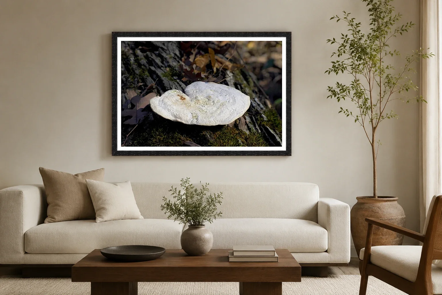 Shelf Fungus on Fallen Oak_Mockup-Modern.webp