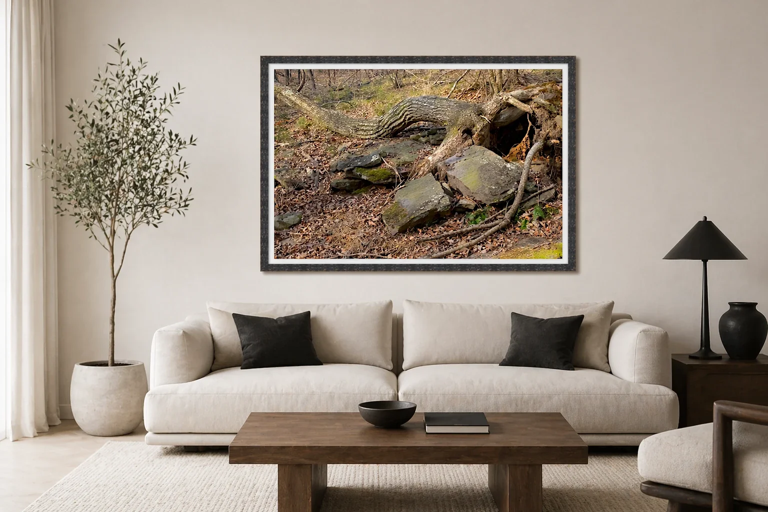 Root Bridge Over Stone