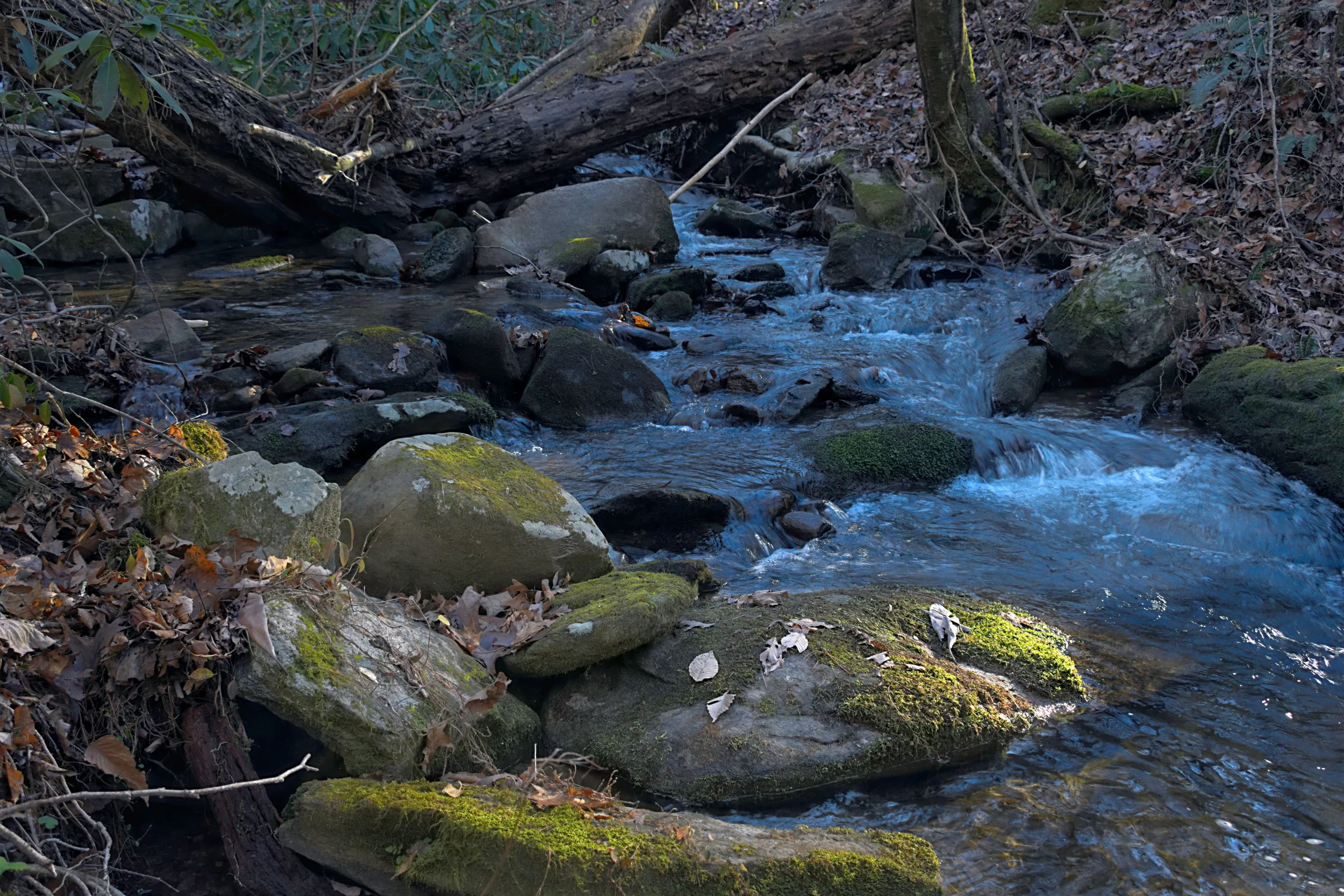 Mossed Boulders Along a Winter Brook