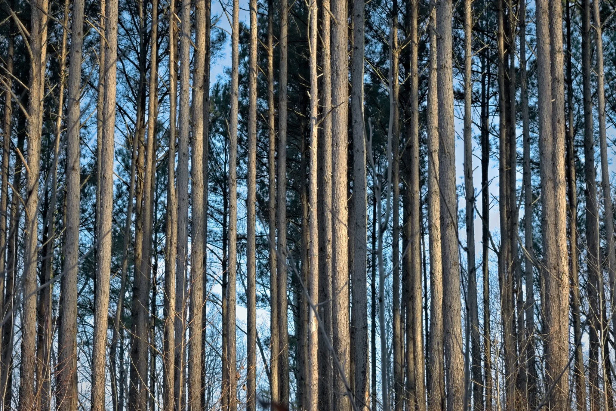 How I decide which images I’m willing to stand behind