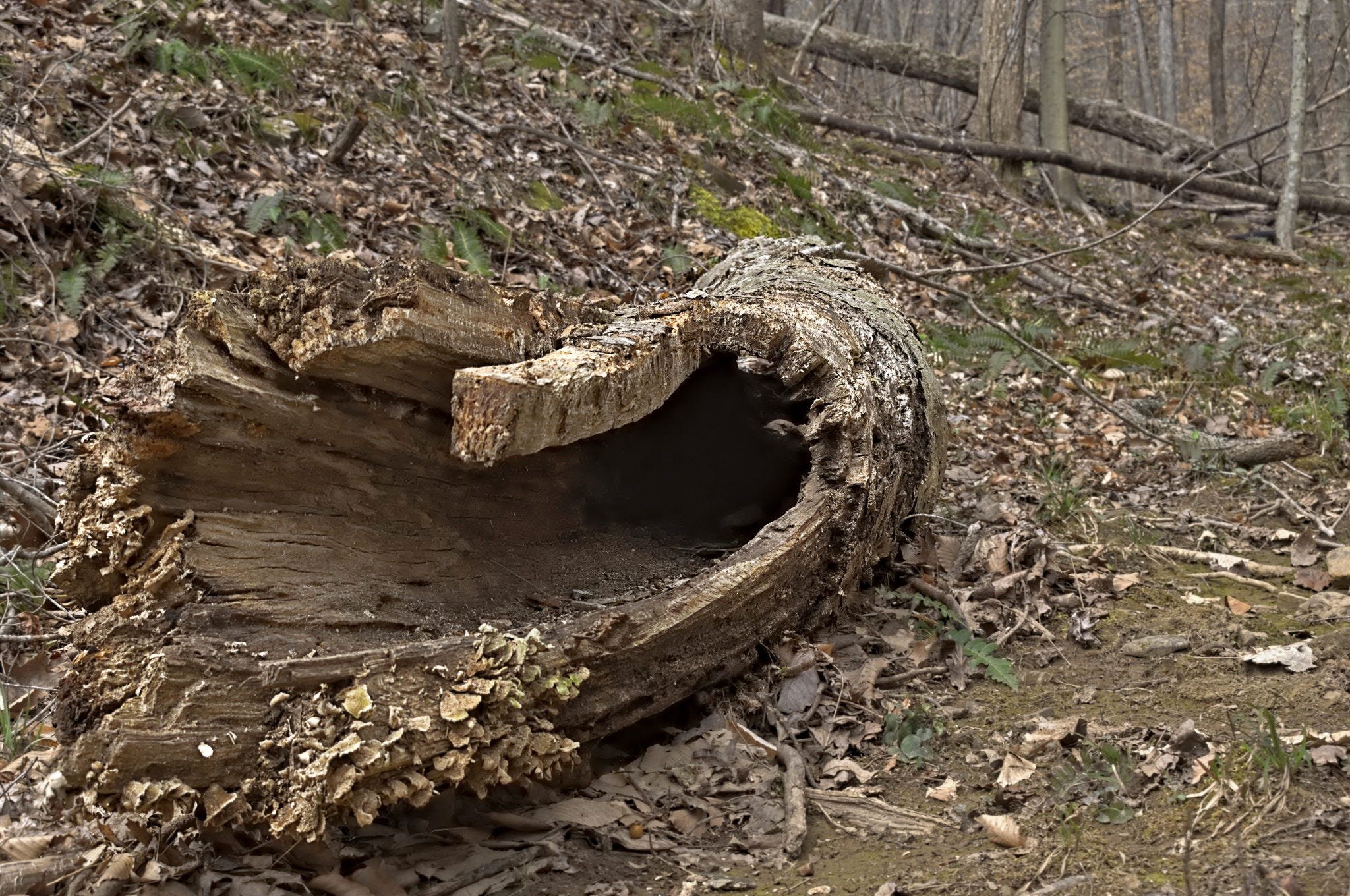 The Tools I Use to Decide What Holds