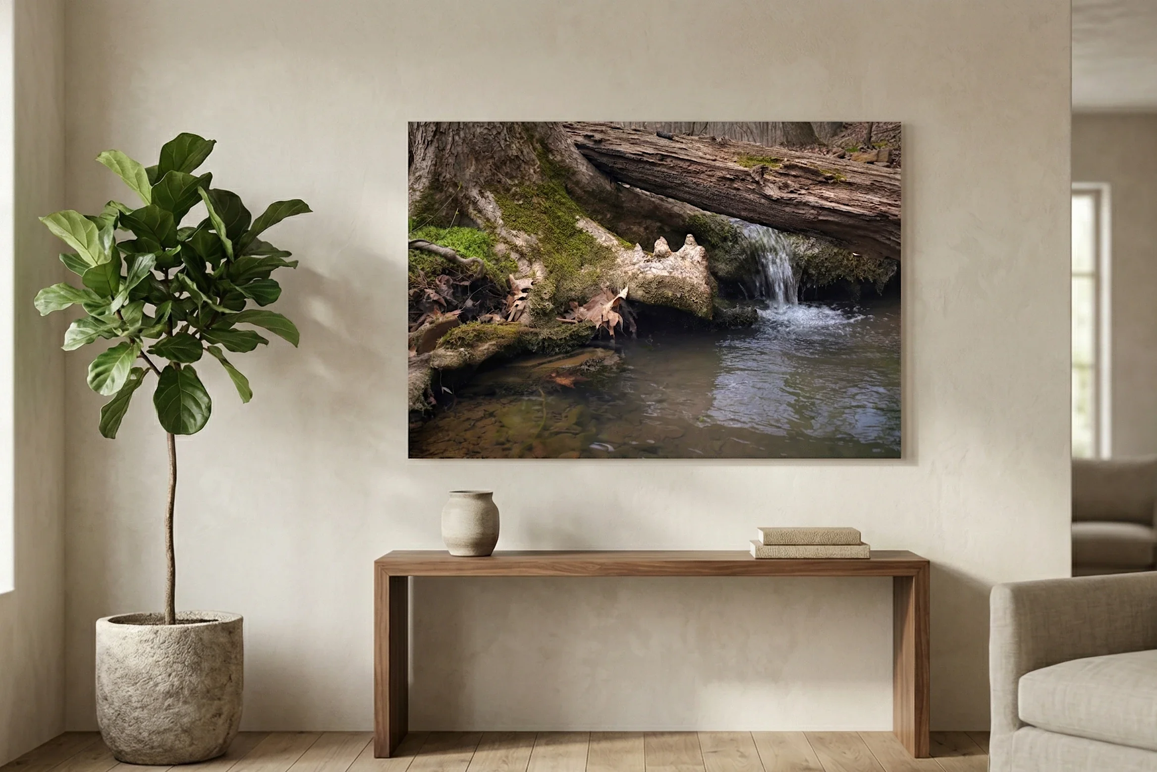 Root Bridge, Spring Seep