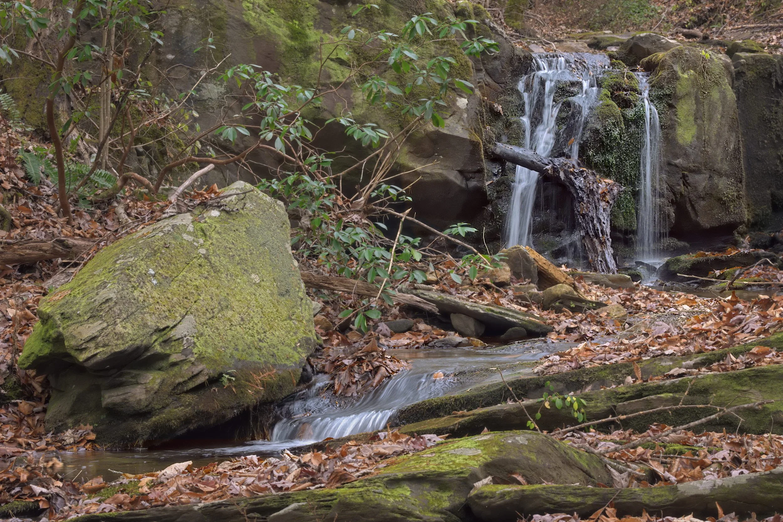 Detailed, intimate landscape photo of an Appalachian waterfall over mossy rock. Diffused forest light. Features a large, textured mossy boulder, autumn leaves, and rhododendron understory.