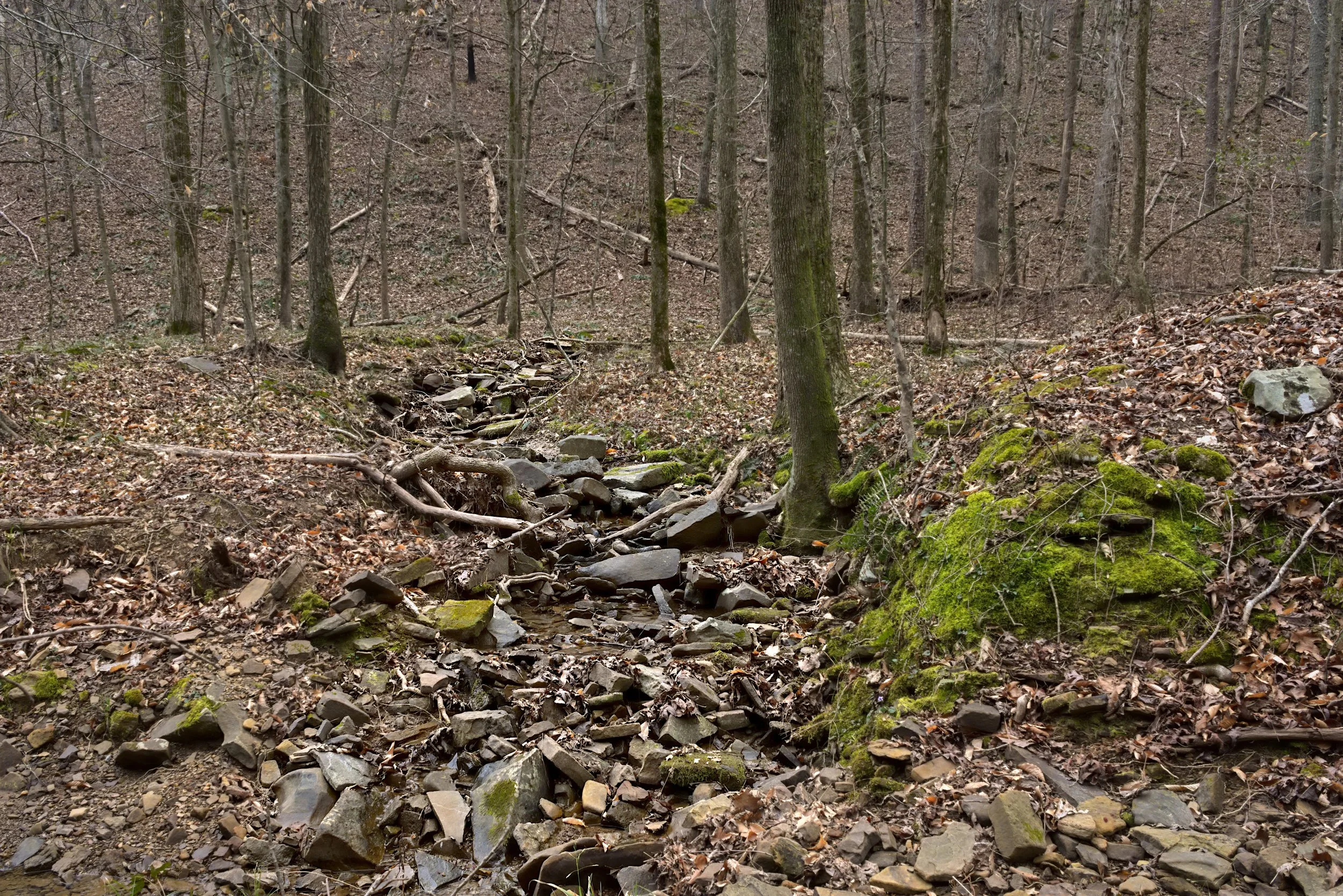 Muted woodland creek winding through layered stone and moss under soft overcast light, featuring earthy textures, bare hardwoods, and intimate Appalachian landscape detail.