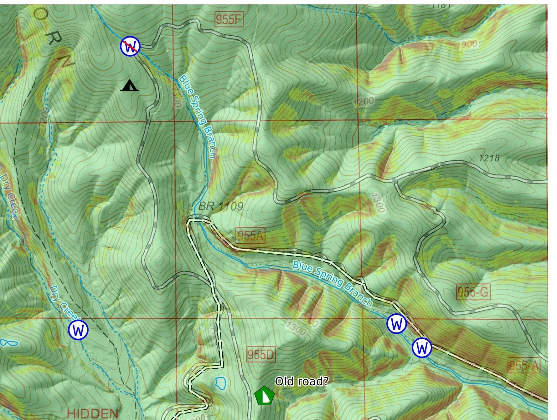 Topographic map showing trails, creeks, and elevation contours. Contains labels for Blue Spring Branch, Dry Creek, and various road numbers. Marked with W symbols indicating water features and a green symbol at the bottom indicating an old road.