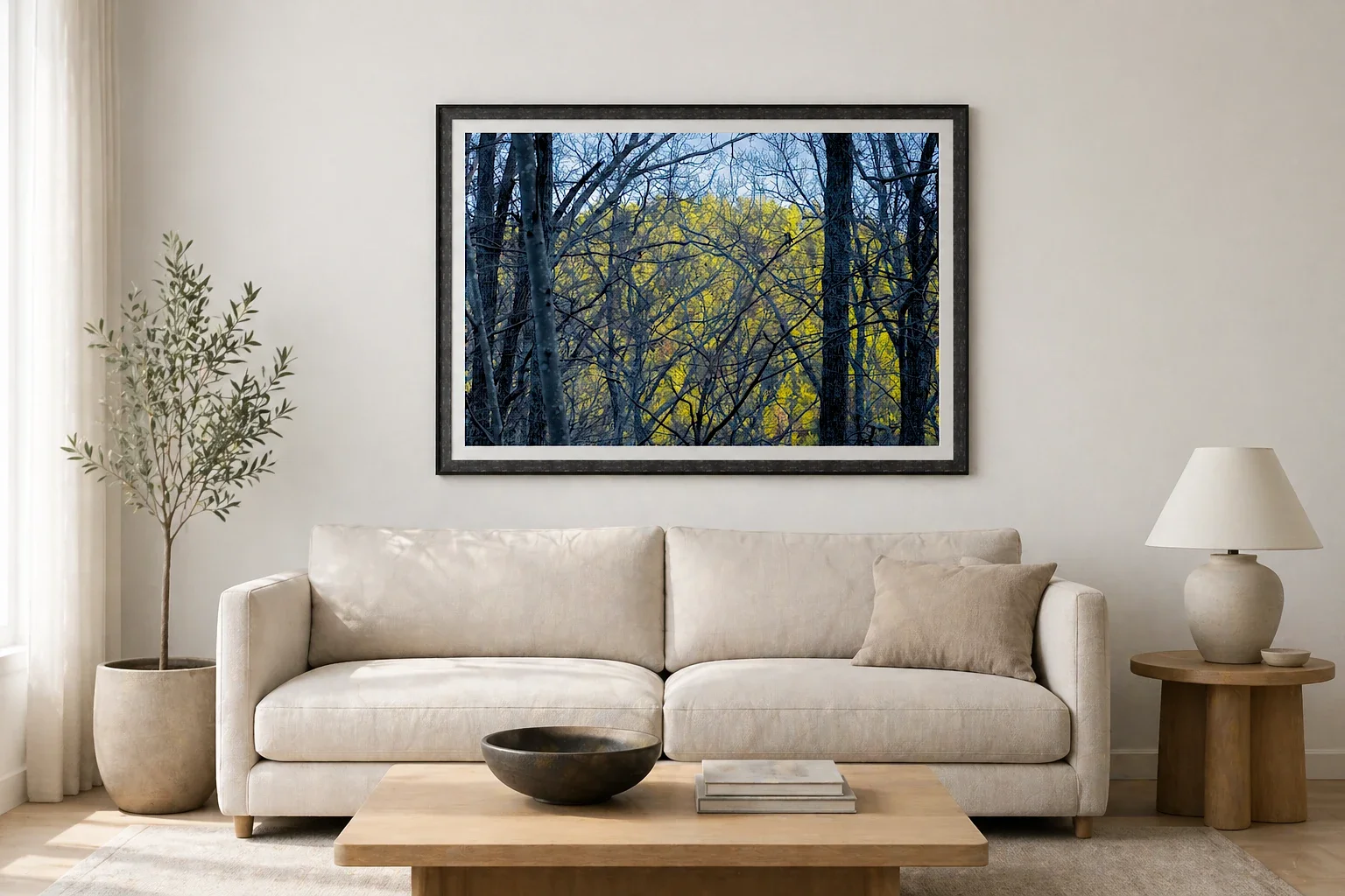 Sunlit Forest Behind Bare Trees