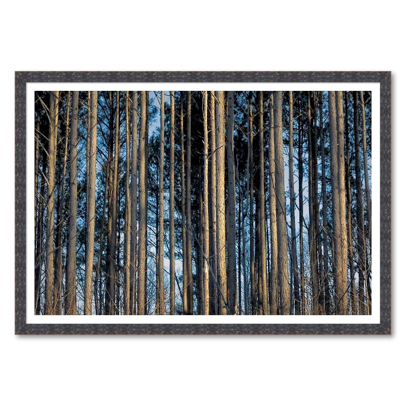 Winter Pine Canopy_Framed.webp