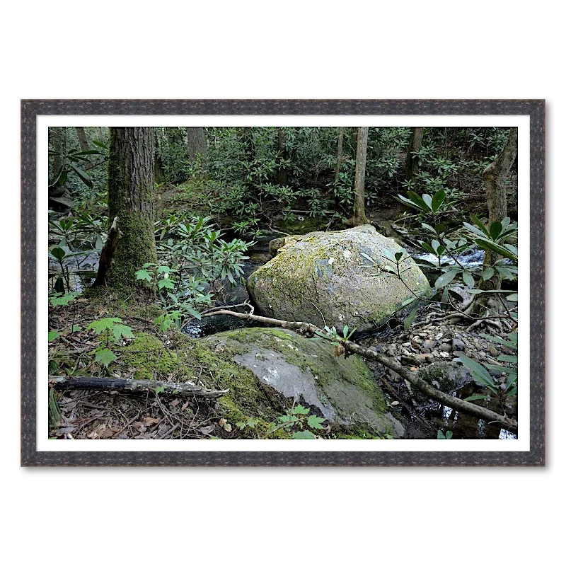 Mossed Boulder by Stream_Framed.webp