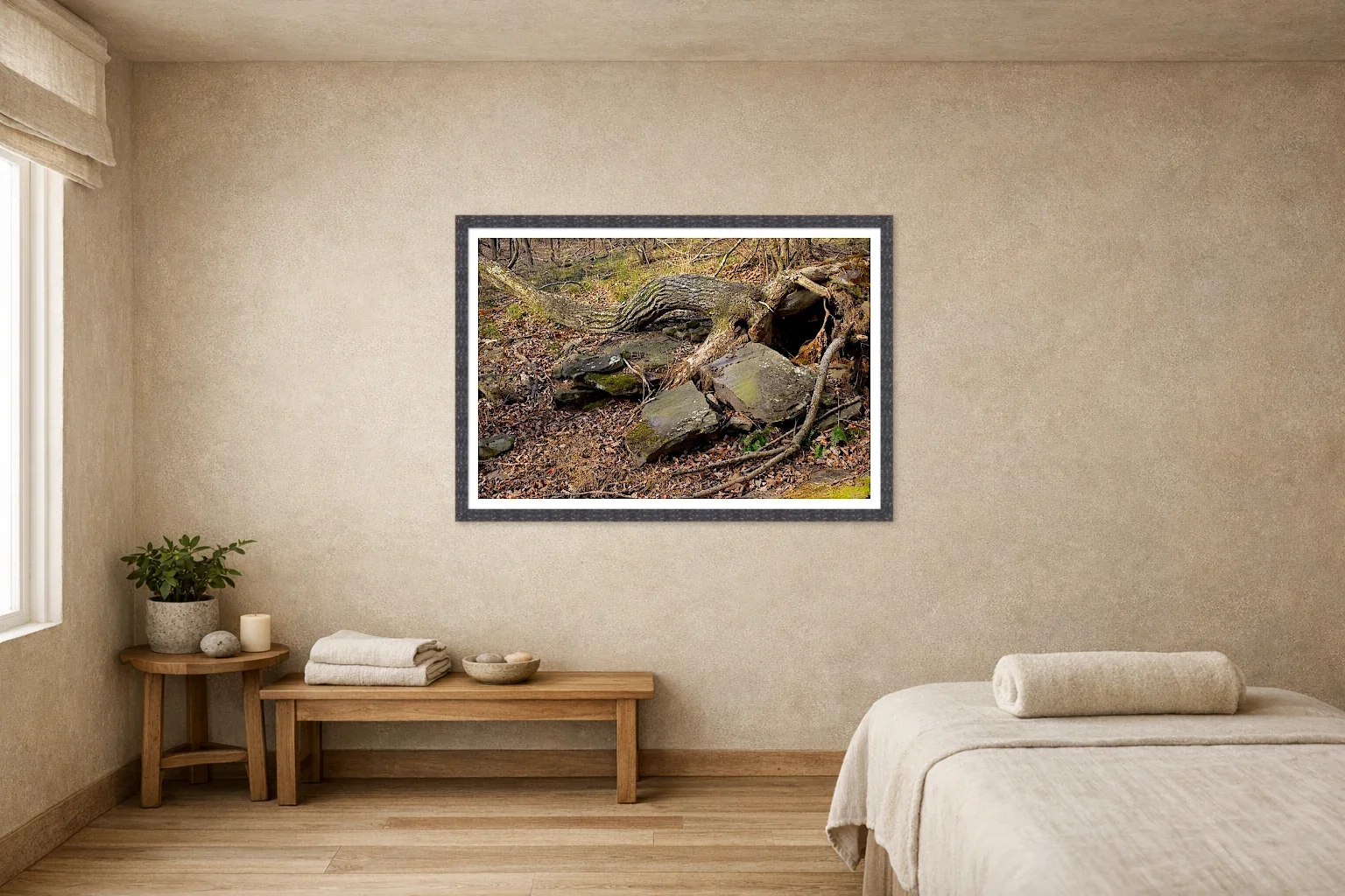 Root Bridge Over Stone