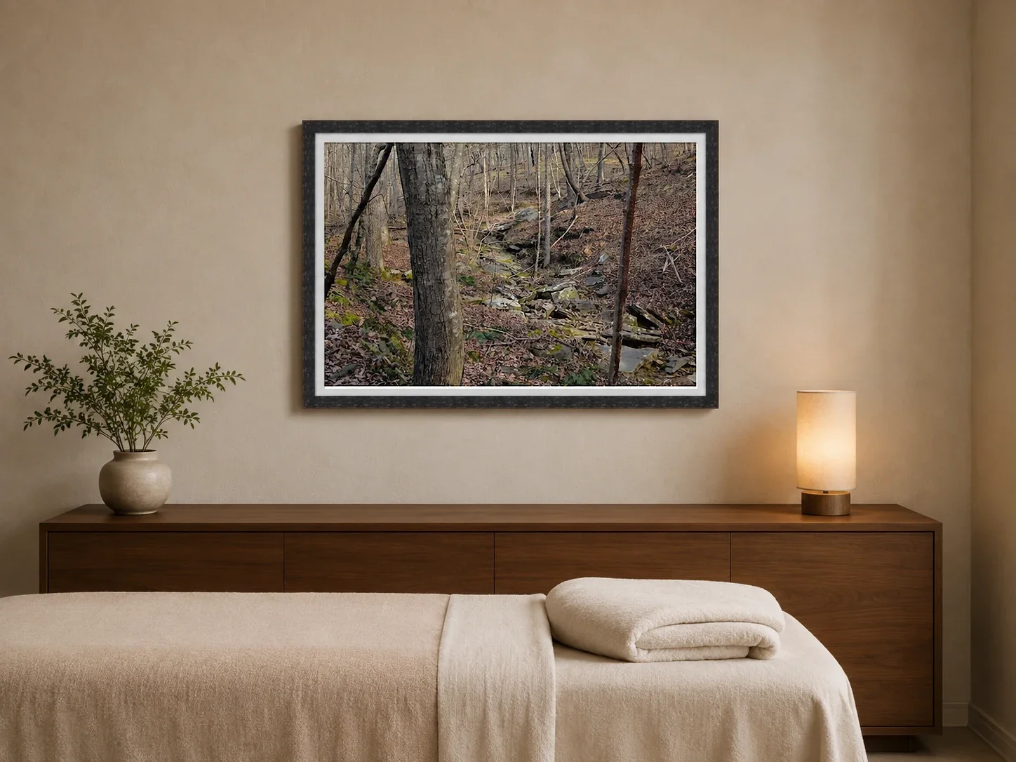 Spring Seep and Rock Run_Mockup-Professional.webp