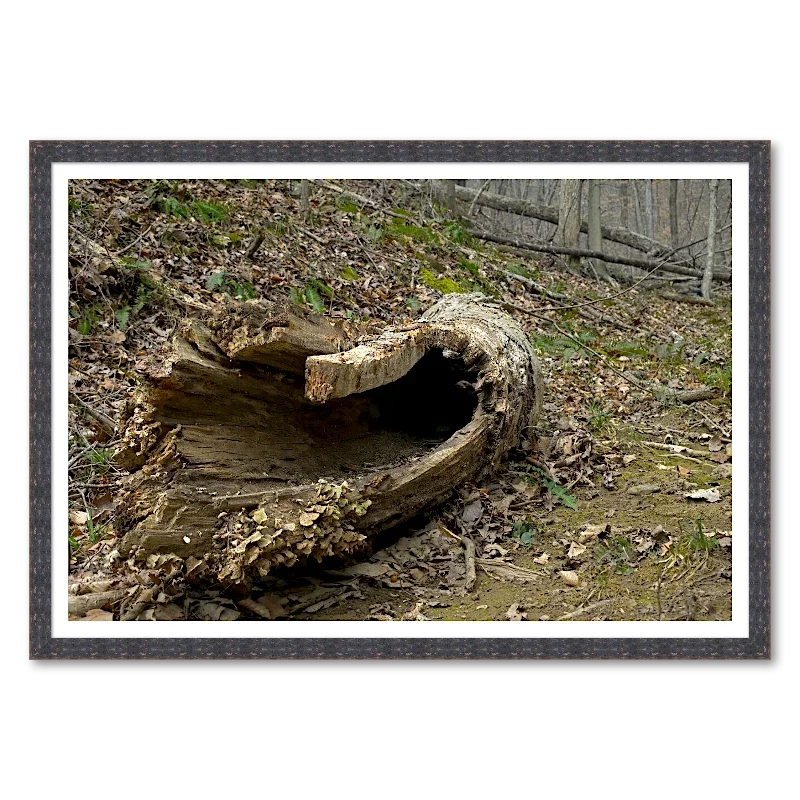 Fallen Log on Hillside_Framed.webp