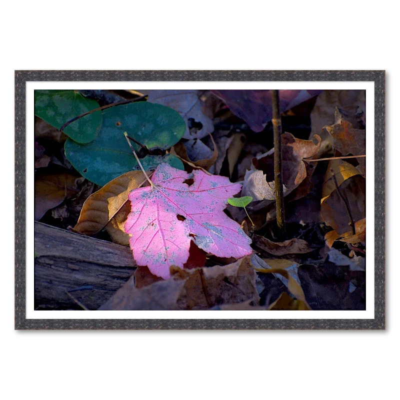 Pink Maple Leaf in Autumn Forest Floor Light_Framed.webp
