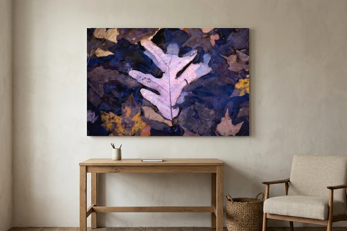 Oak Leaf in Tannin Pool | Limited Edition