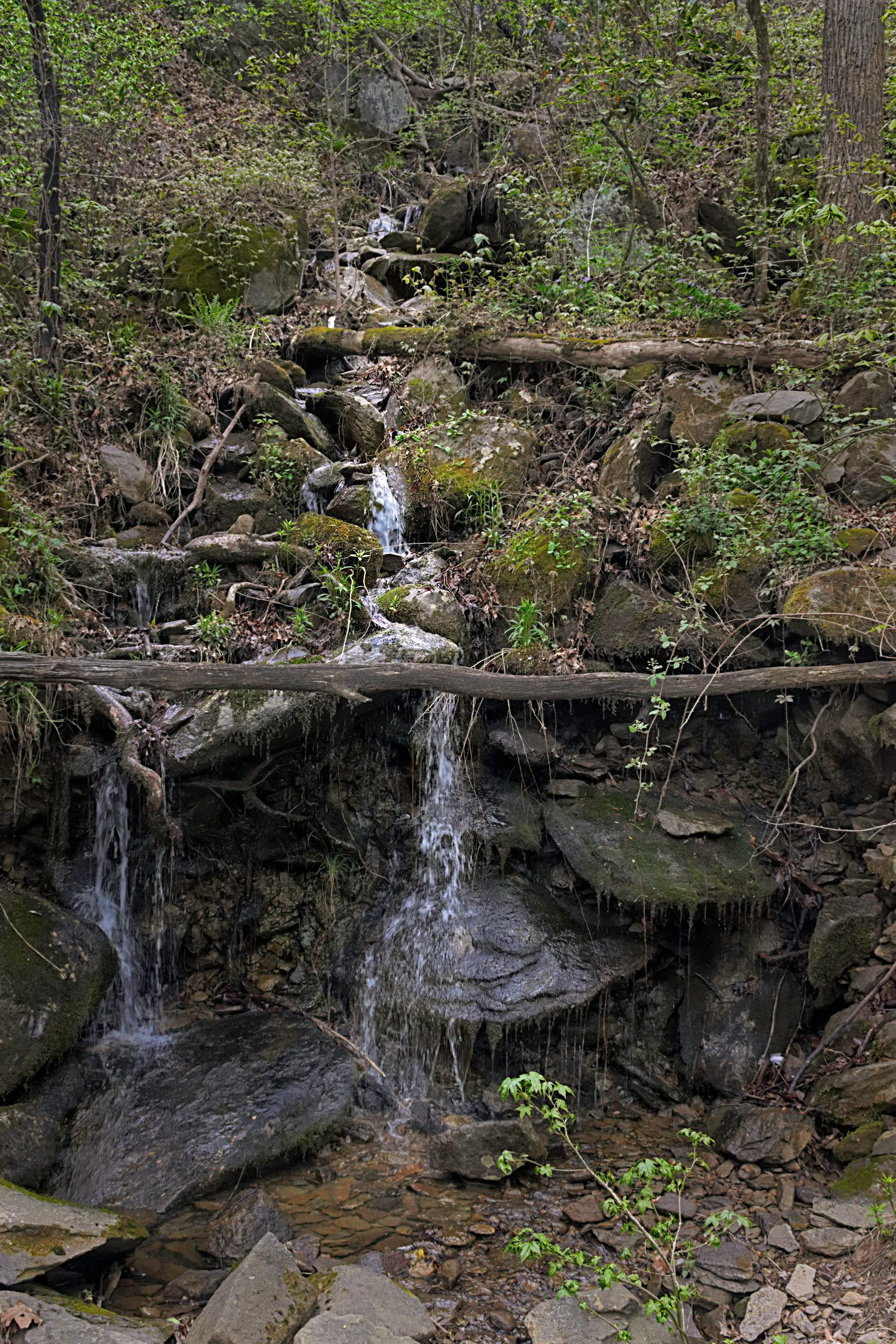 A vertical landscape photograph of a cascading mountain stream flowing over moss-covered dark boulders and fallen logs in a dense Appalachian forest.